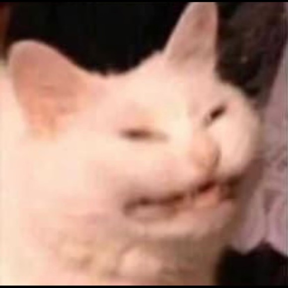 Meet your Posher, Chris - Picture 1 of 1